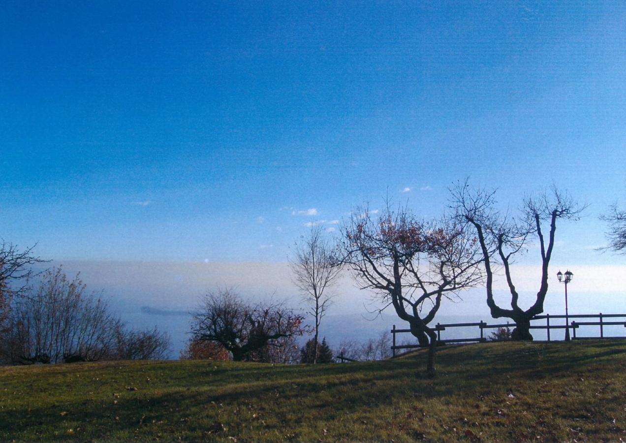 La Fiocchina - Magic Place - Apartments & Studios In Garda Lake - Countryside Farmhouse, Inside The Middle Of The Lake Salò Εξωτερικό φωτογραφία